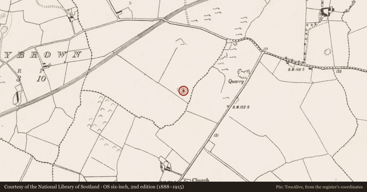 Ordnance Survey six-inch map, 2nd edition (1888–1915) covering the location of Ringfort - rath, Clonagh, County Limerick, with a pin at the register's coordinates