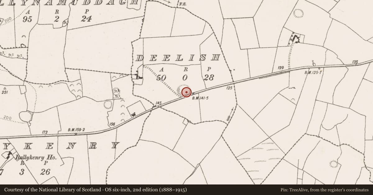 Ordnance Survey six-inch map, 2nd edition (1888–1915) covering the location of Ringfort - rath, Deelish, County Limerick, with a pin at the register's coordinates