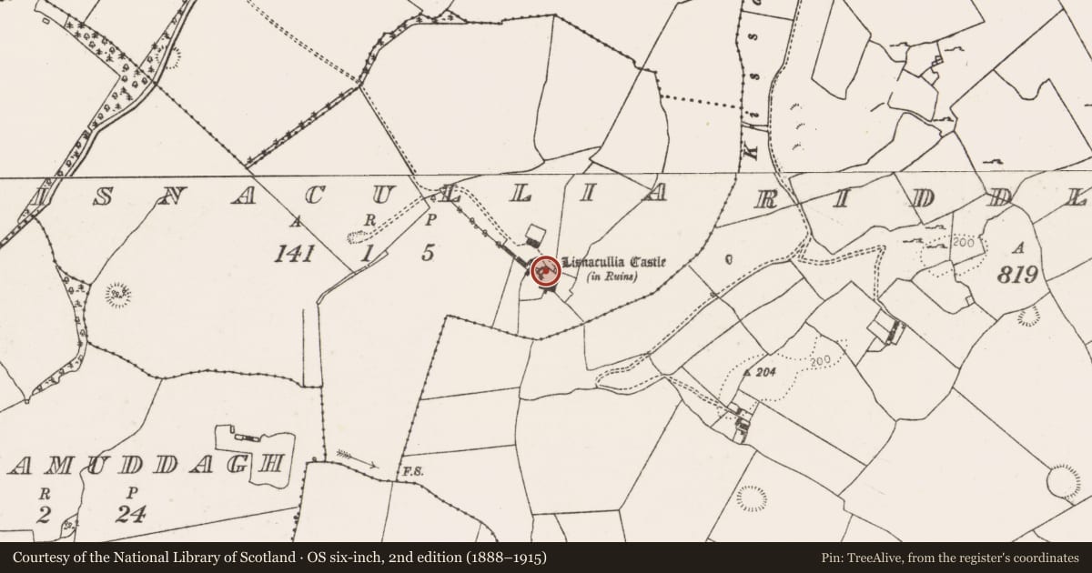 Ordnance Survey six-inch map, 2nd edition (1888–1915) covering the location of Bawn, Lisnacullia, County Limerick, with a pin at the register's coordinates