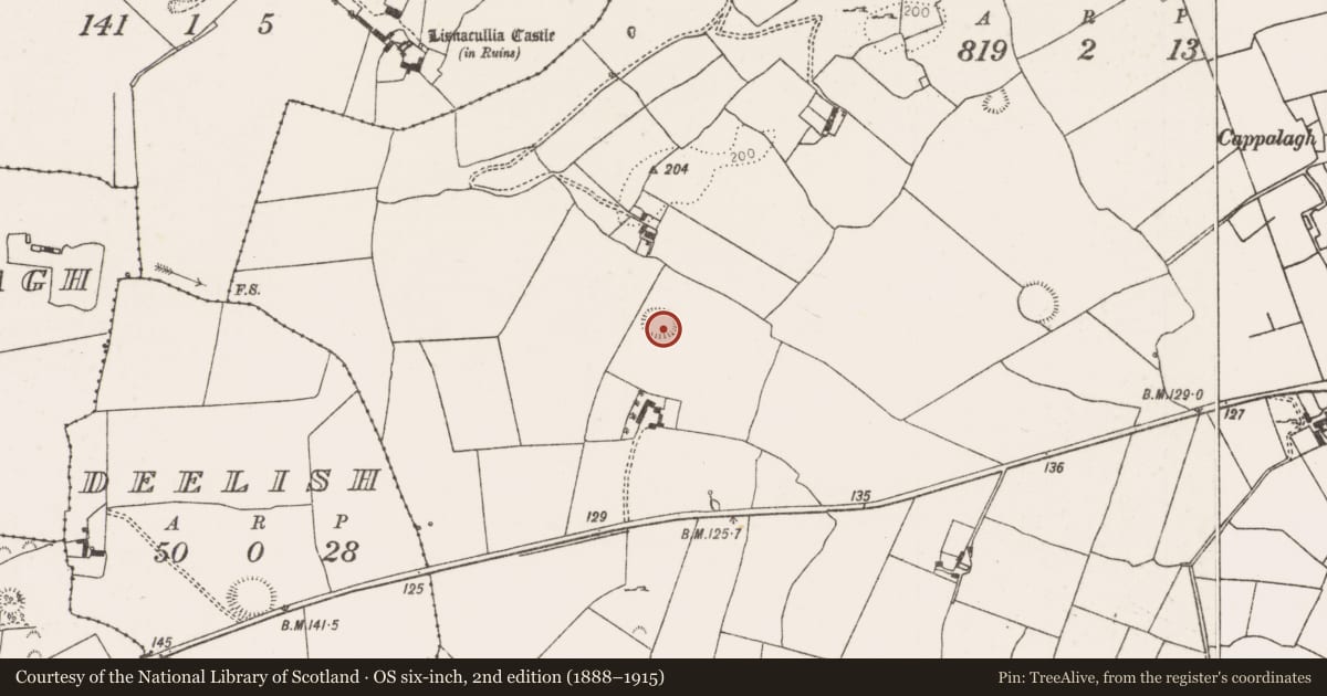 Ordnance Survey six-inch map, 2nd edition (1888–1915) covering the location of Ringfort - rath, Riddlestown, County Limerick, with a pin at the register's coordinates