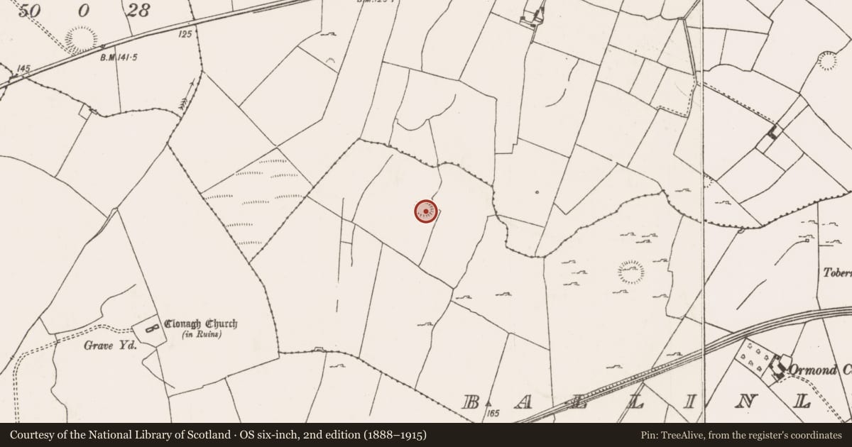 Ordnance Survey six-inch map, 2nd edition (1888–1915) covering the location of Ringfort - rath, Ballinlyny, County Limerick, with a pin at the register's coordinates
