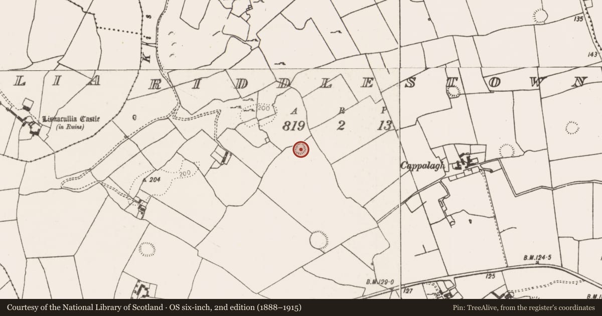 Ordnance Survey six-inch map, 2nd edition (1888–1915) covering the location of Ringfort - rath, Riddlestown, County Limerick, with a pin at the register's coordinates