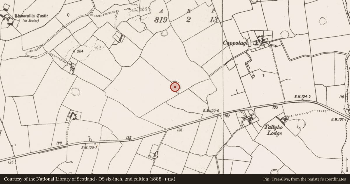 Ordnance Survey six-inch map, 2nd edition (1888–1915) covering the location of Ringfort - rath, Riddlestown, County Limerick, with a pin at the register's coordinates