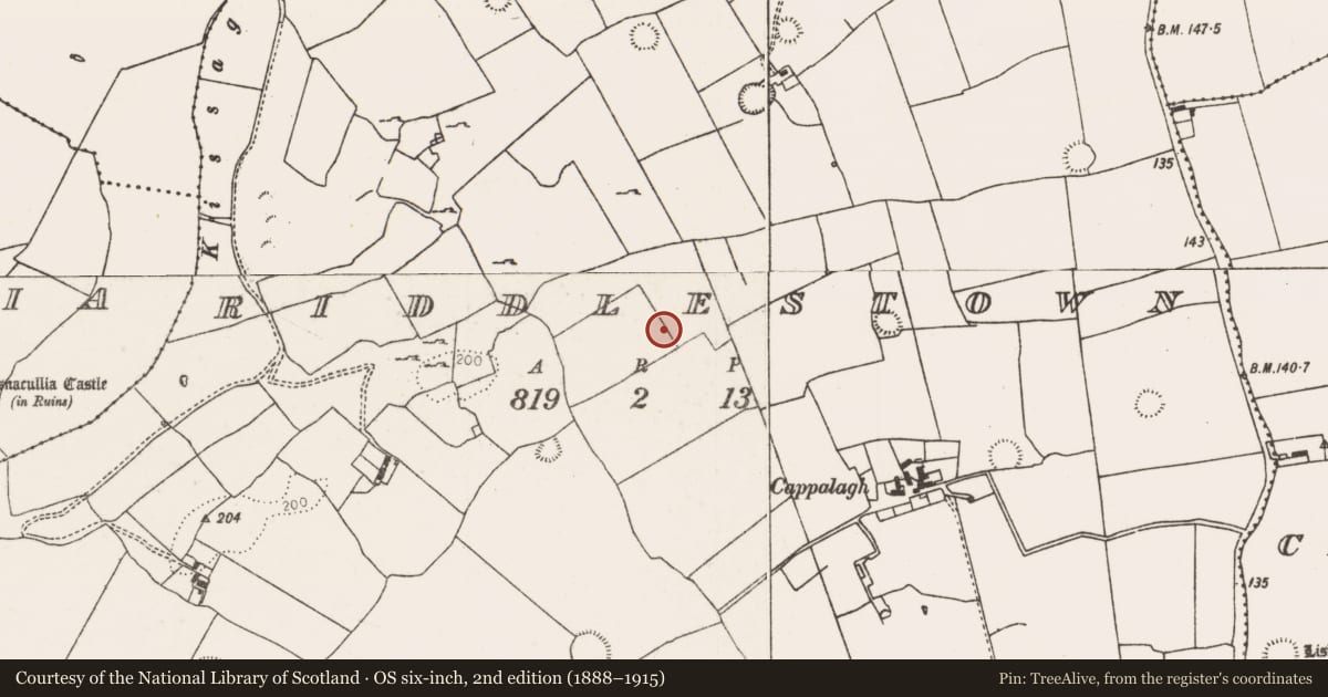Ordnance Survey six-inch map, 2nd edition (1888–1915) covering the location of Enclosure, Riddlestown, County Limerick, with a pin at the register's coordinates