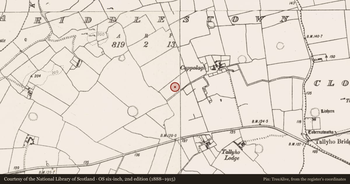 Ordnance Survey six-inch map, 2nd edition (1888–1915) covering the location of Ringfort - rath, Riddlestown, County Limerick, with a pin at the register's coordinates
