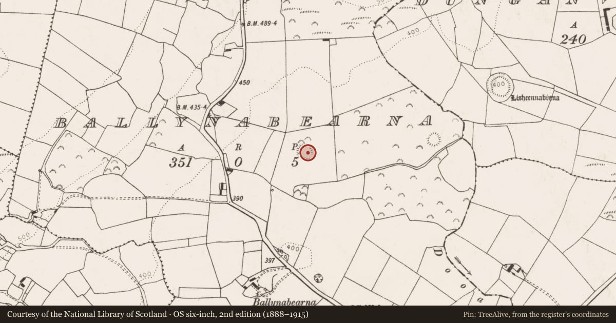 Ordnance Survey six-inch map, 2nd edition (1888–1915) covering the location of Ringfort - rath, Ballynabearna, County Limerick, with a pin at the register's coordinates