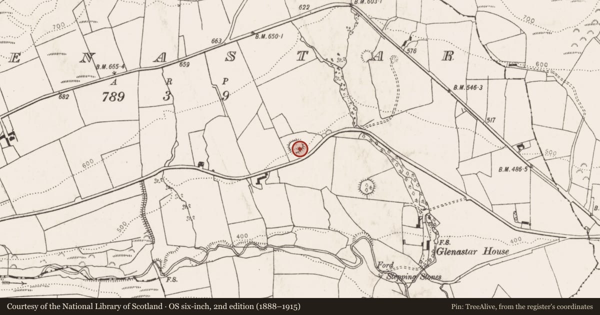 Ordnance Survey six-inch map, 2nd edition (1888–1915) covering the location of Ringfort - rath, Glenastar, County Limerick, with a pin at the register's coordinates
