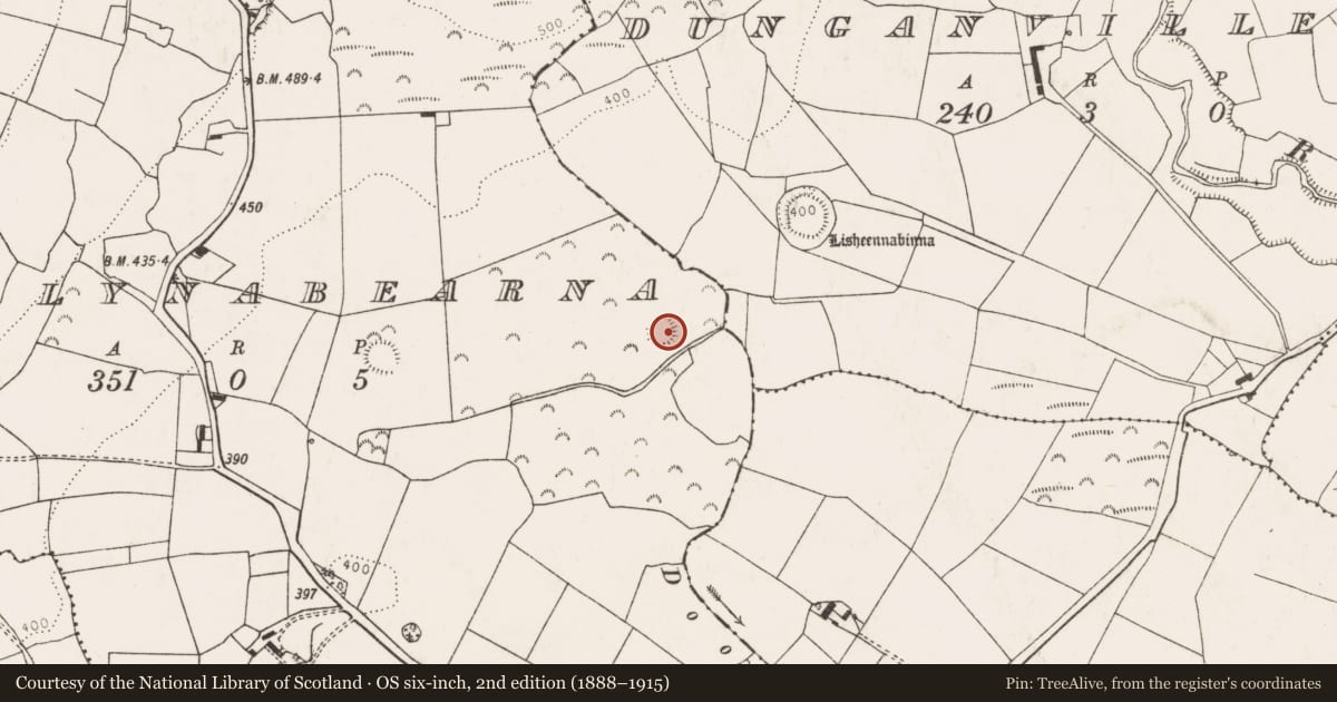 Ordnance Survey six-inch map, 2nd edition (1888–1915) covering the location of Ringfort - rath, Ballynabearna, County Limerick, with a pin at the register's coordinates