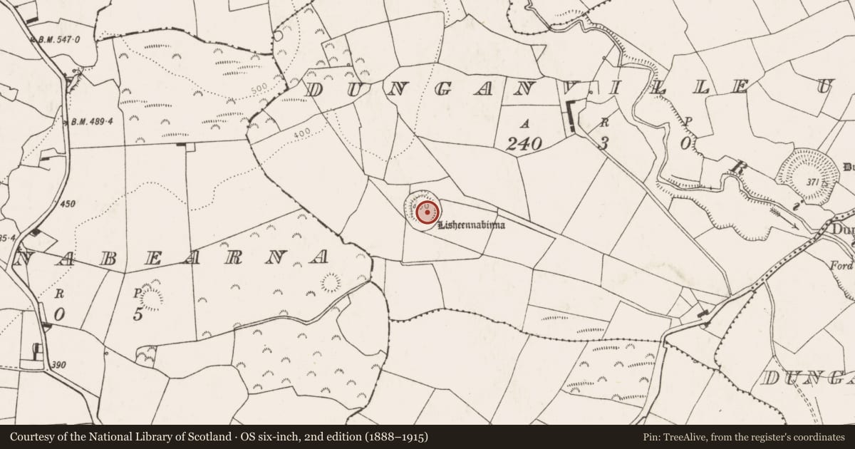Ordnance Survey six-inch map, 2nd edition (1888–1915) covering the location of Ringfort - rath, Dunganville Upper, County Limerick, with a pin at the register's coordinates