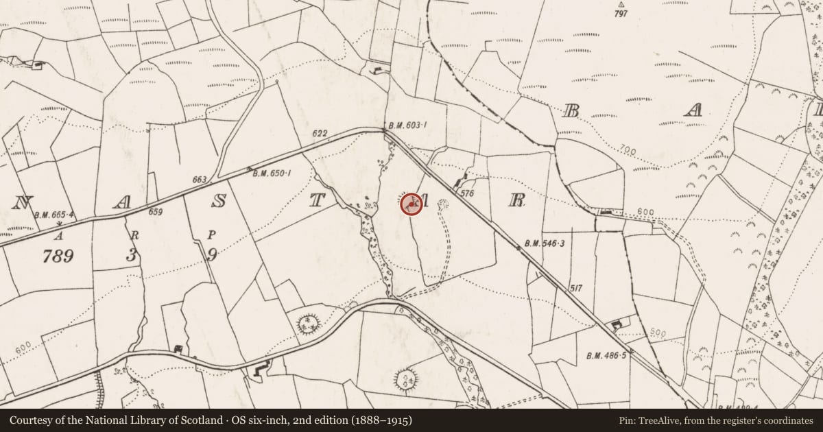 Ordnance Survey six-inch map, 2nd edition (1888–1915) covering the location of Enclosure, Glenastar, County Limerick, with a pin at the register's coordinates