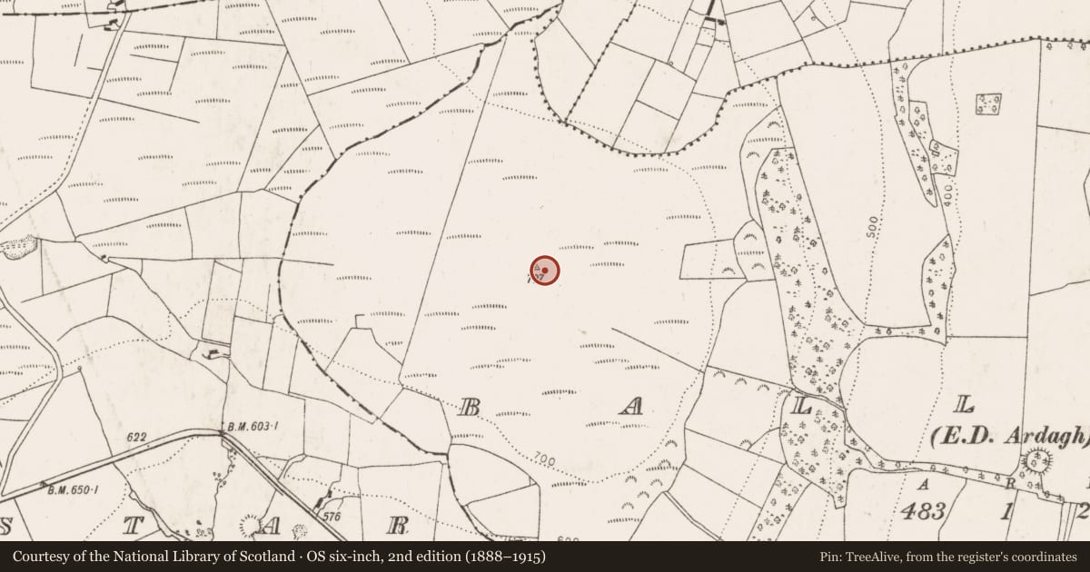 Ordnance Survey six-inch map, 2nd edition (1888–1915) covering the location of Hillfort, Ballylin, County Limerick, with a pin at the register's coordinates