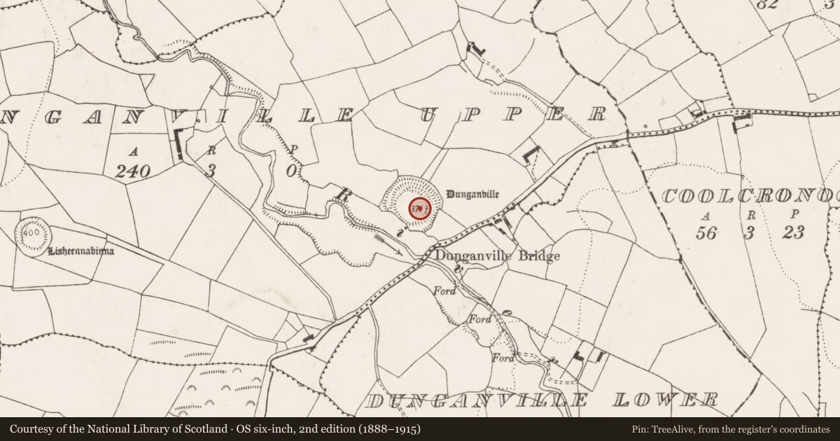 Ordnance Survey six-inch map, 2nd edition (1888–1915) covering the location of Ringfort - rath, Dunganville Upper, County Limerick, with a pin at the register's coordinates