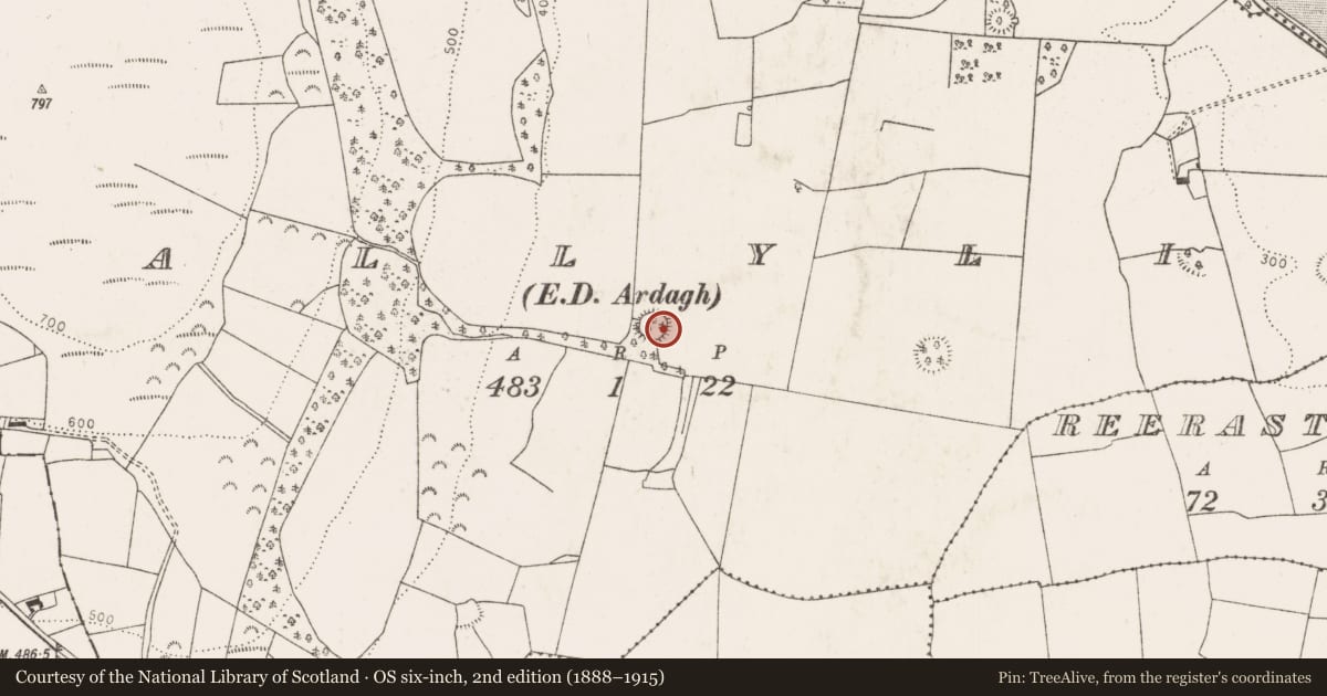 Ordnance Survey six-inch map, 2nd edition (1888–1915) covering the location of Ringfort - rath, Ballylin, County Limerick, with a pin at the register's coordinates