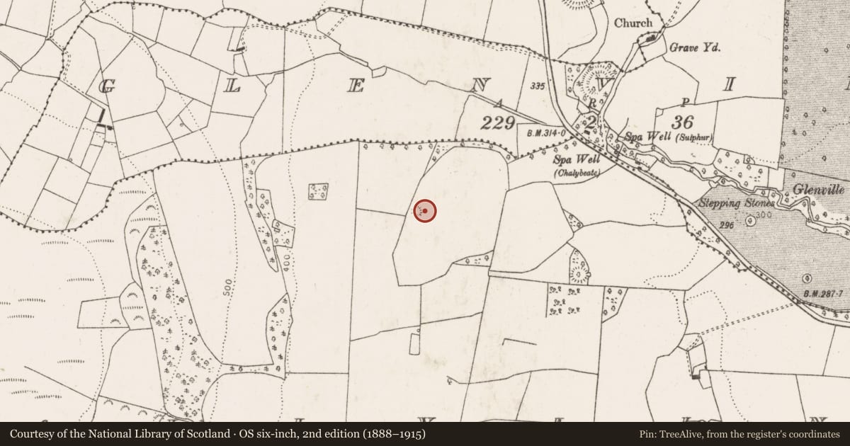 Ordnance Survey six-inch map, 2nd edition (1888–1915) covering the location of Enclosure, Ballylin, County Limerick, with a pin at the register's coordinates