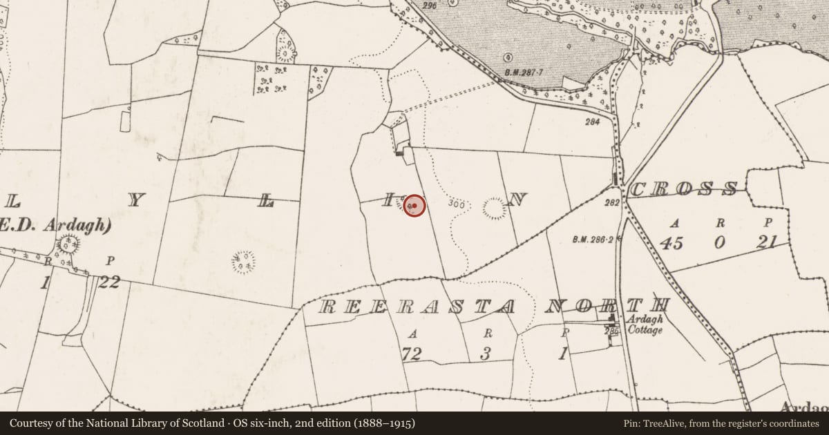 Ordnance Survey six-inch map, 2nd edition (1888–1915) covering the location of Ringfort - rath, Ballylin, County Limerick, with a pin at the register's coordinates