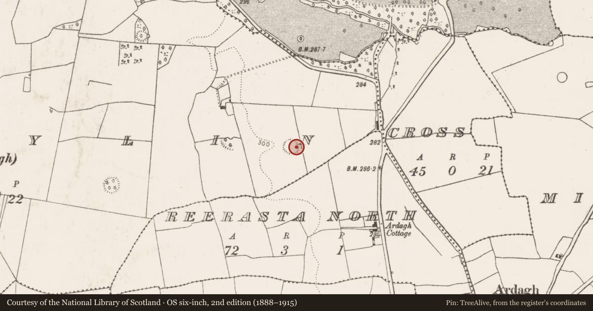 Ordnance Survey six-inch map, 2nd edition (1888–1915) covering the location of Ringfort - rath, Ballylin, County Limerick, with a pin at the register's coordinates
