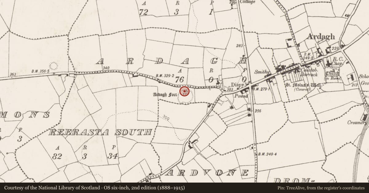 Ordnance Survey six-inch map, 2nd edition (1888–1915) covering the location of Standing stone, Reerasta South, County Limerick, with a pin at the register's coordinates