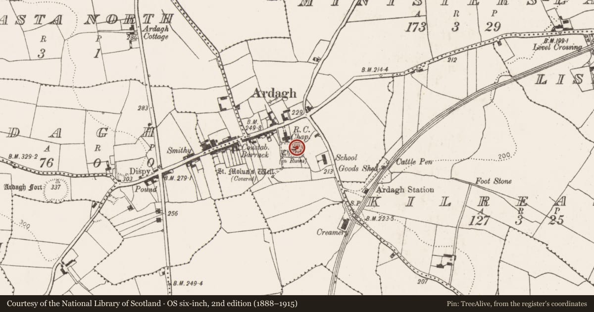 Ordnance Survey six-inch map, 2nd edition (1888–1915) covering the location of Church, Minister'S-Land, County Limerick, with a pin at the register's coordinates