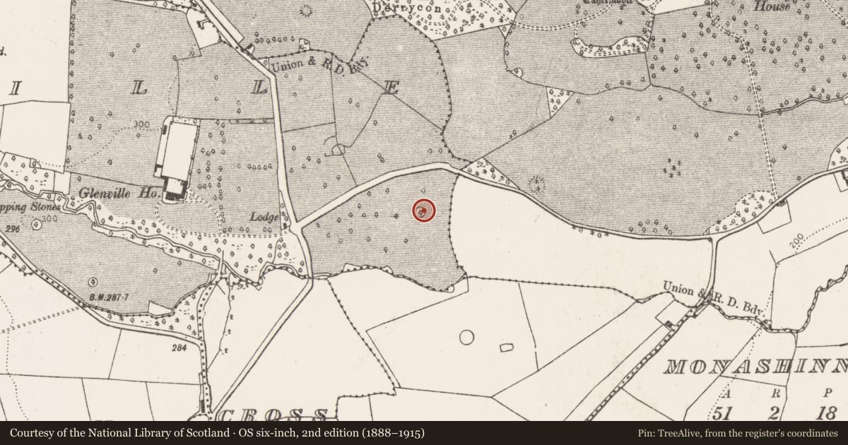 Ordnance Survey six-inch map, 2nd edition (1888–1915) covering the location of Designed landscape - tree-ring, Glenville, County Limerick, with a pin at the register's coordinates