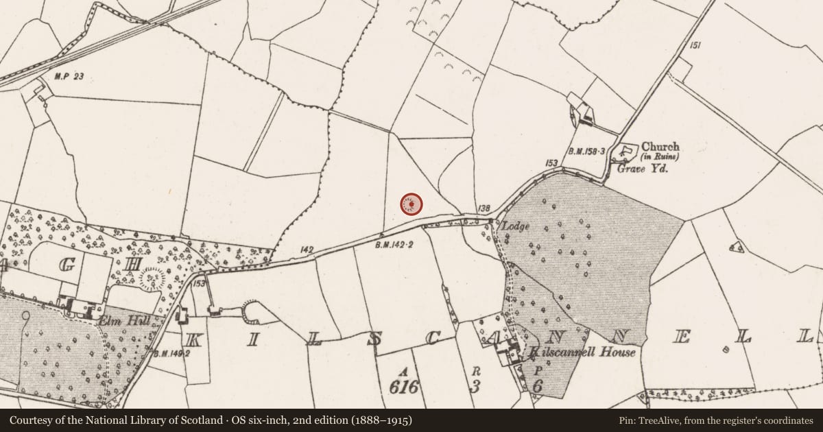 Ordnance Survey six-inch map, 2nd edition (1888–1915) covering the location of Ringfort - rath, Kilscannell, County Limerick, with a pin at the register's coordinates
