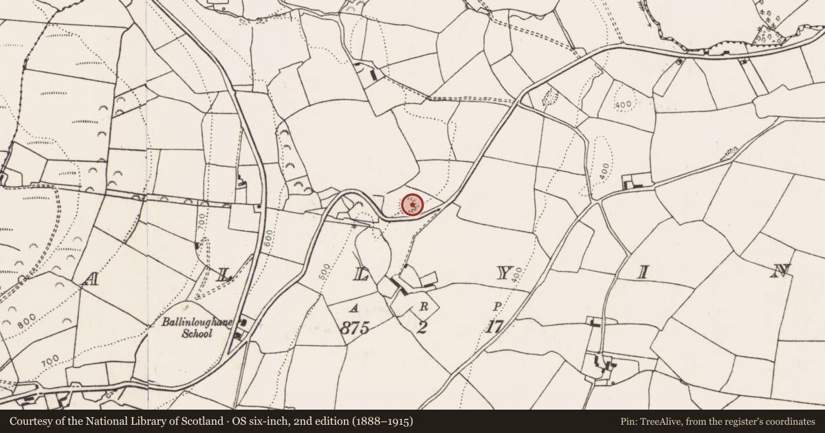 Ordnance Survey six-inch map, 2nd edition (1888–1915) covering the location of Ringfort - rath, Ballyine, County Limerick, with a pin at the register's coordinates