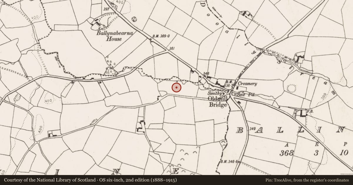 Ordnance Survey six-inch map, 2nd edition (1888–1915) covering the location of Mill - unclassified, Ballyine, County Limerick, with a pin at the register's coordinates
