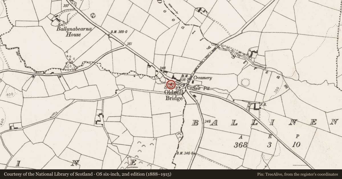 Ordnance Survey six-inch map, 2nd edition (1888–1915) covering the location of Mill - unclassified, Ballyine, County Limerick, with a pin at the register's coordinates