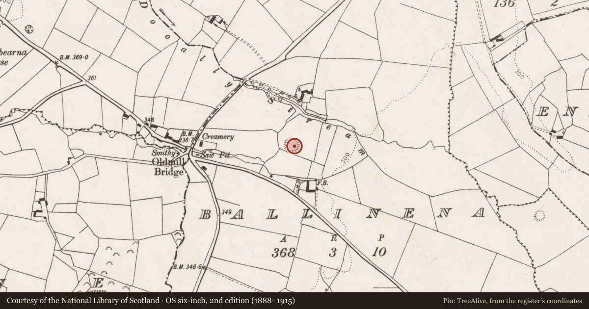 Ordnance Survey six-inch map, 2nd edition (1888–1915) covering the location of Ringfort - rath, Ballinena, County Limerick, with a pin at the register's coordinates