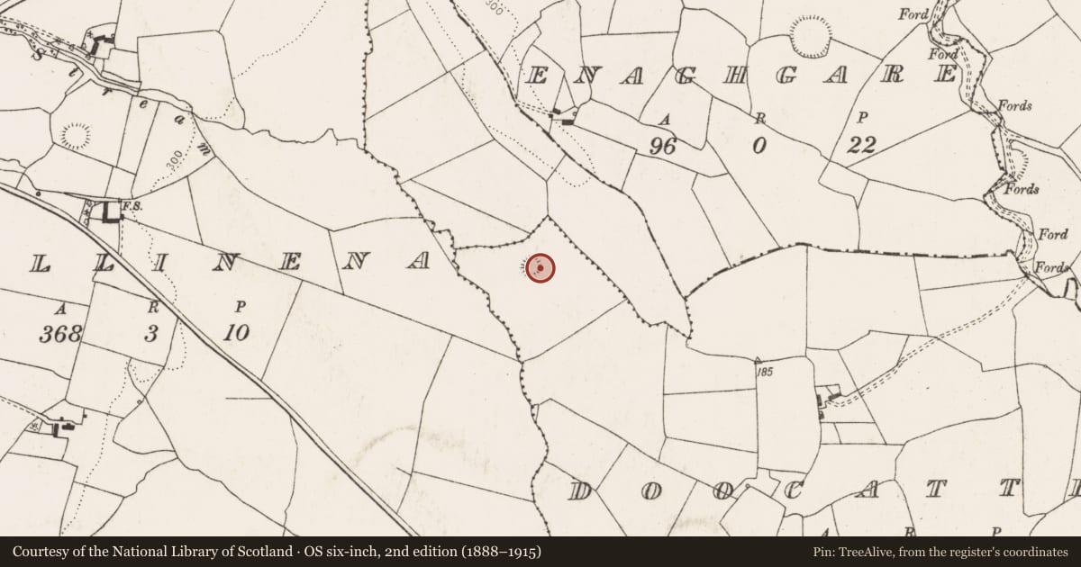Ordnance Survey six-inch map, 2nd edition (1888–1915) covering the location of Ringfort - rath, Doocatteen, County Limerick, with a pin at the register's coordinates