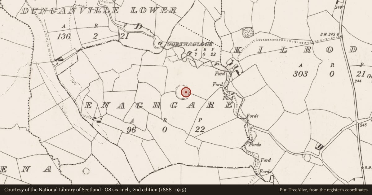 Ordnance Survey six-inch map, 2nd edition (1888–1915) covering the location of Ringfort - rath, Enaghgare, County Limerick, with a pin at the register's coordinates