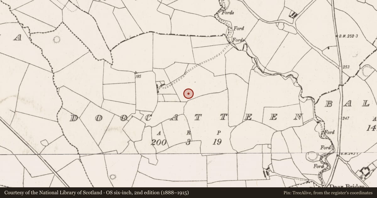 Ordnance Survey six-inch map, 2nd edition (1888–1915) covering the location of Ringfort - rath, Doocatteen, County Limerick, with a pin at the register's coordinates