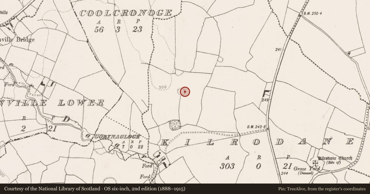 Ordnance Survey six-inch map, 2nd edition (1888–1915) covering the location of Ringfort - rath, Kilrodane, County Limerick, with a pin at the register's coordinates