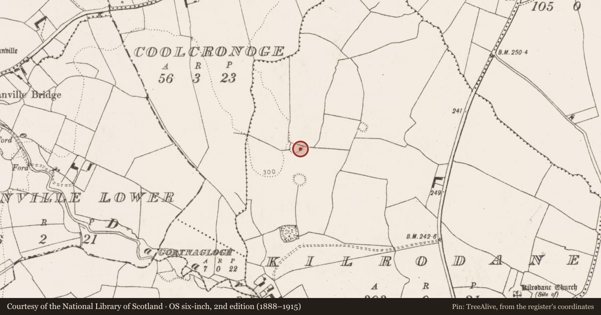 Ordnance Survey six-inch map, 2nd edition (1888–1915) covering the location of Ringfort - rath, Kilrodane, County Limerick, with a pin at the register's coordinates