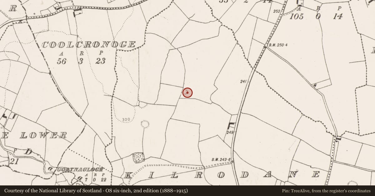 Ordnance Survey six-inch map, 2nd edition (1888–1915) covering the location of Ringfort - rath, Kilrodane, County Limerick, with a pin at the register's coordinates