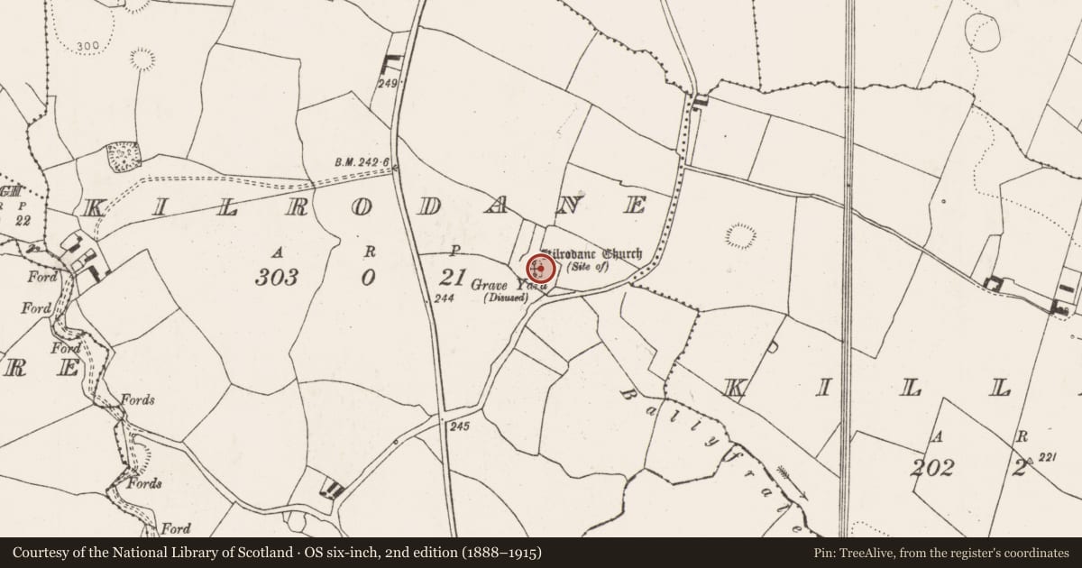 Ordnance Survey six-inch map, 2nd edition (1888–1915) covering the location of Church, Kilrodane, County Limerick, with a pin at the register's coordinates