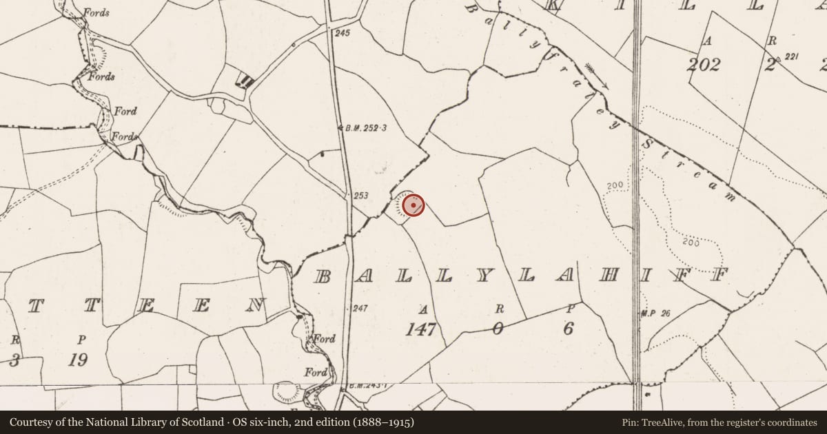 Ordnance Survey six-inch map, 2nd edition (1888–1915) covering the location of Ringfort - rath, Ballylahiff, County Limerick, with a pin at the register's coordinates