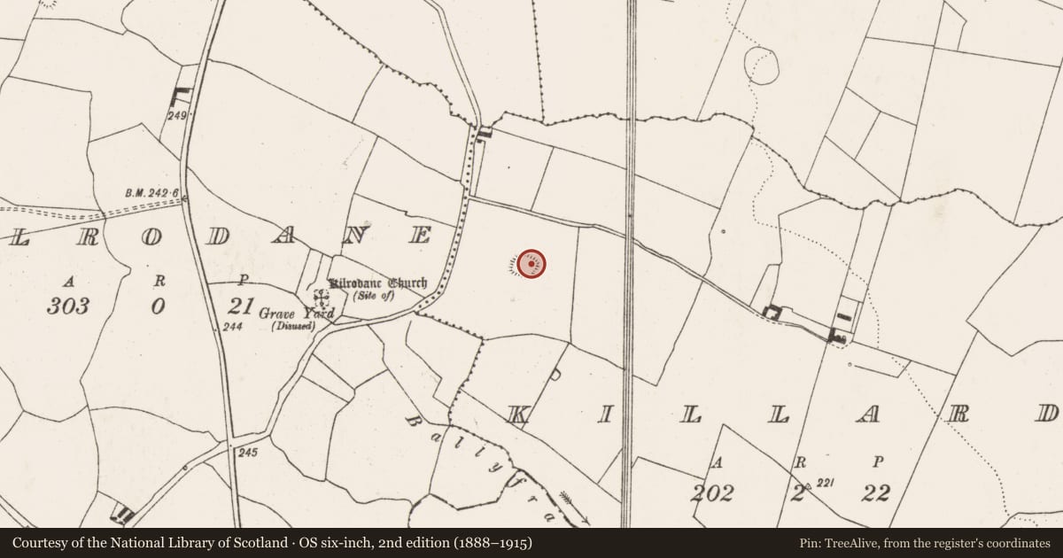 Ordnance Survey six-inch map, 2nd edition (1888–1915) covering the location of Ringfort - rath, Killard, County Limerick, with a pin at the register's coordinates