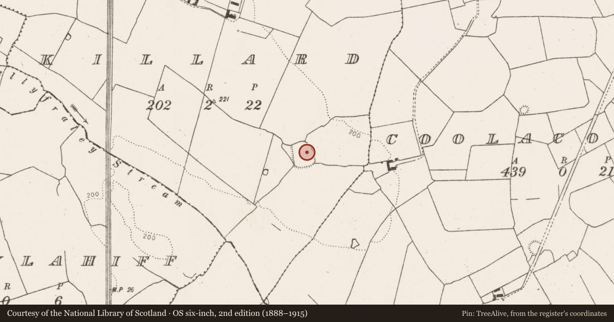 Ordnance Survey six-inch map, 2nd edition (1888–1915) covering the location of Moated site, Killard, County Limerick, with a pin at the register's coordinates