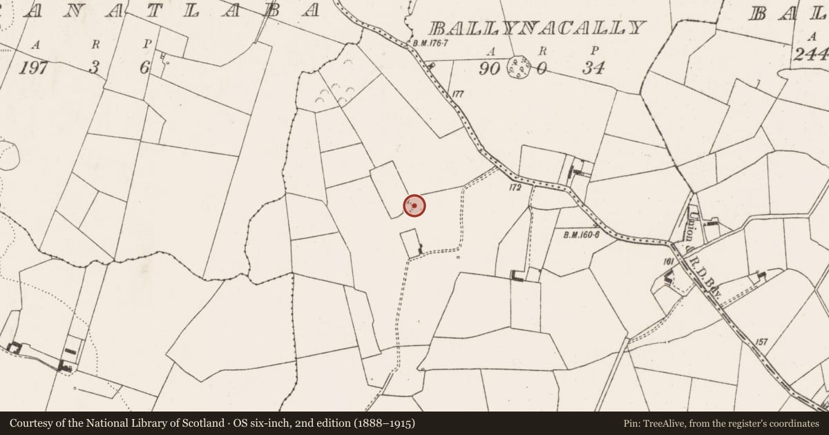 Ordnance Survey six-inch map, 2nd edition (1888–1915) covering the location of Ringfort - rath, Coolacokery, County Limerick, with a pin at the register's coordinates