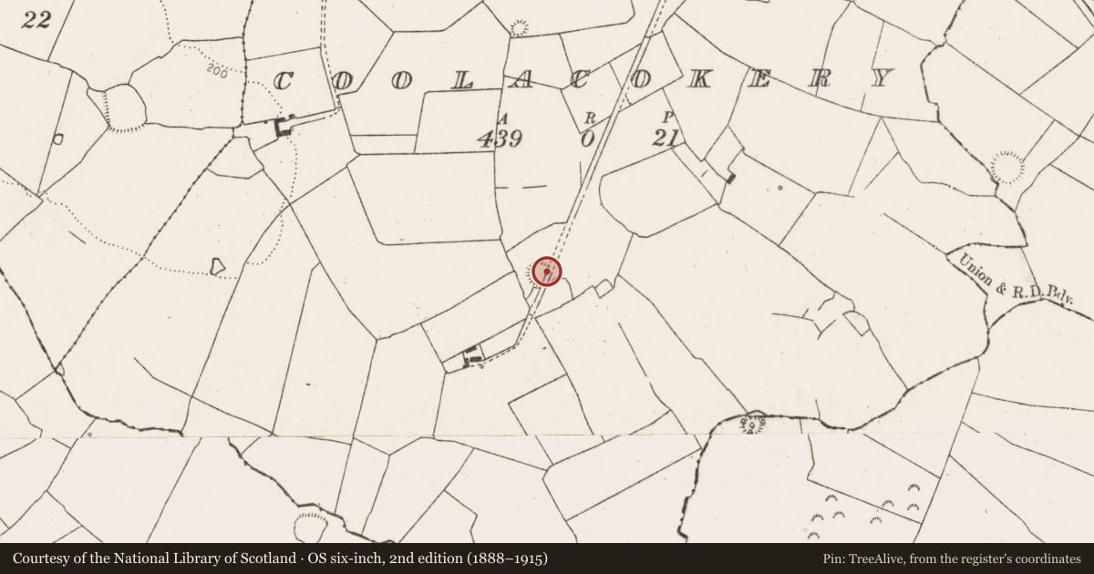 Ordnance Survey six-inch map, 2nd edition (1888–1915) covering the location of Ringfort - rath, Coolacokery, County Limerick, with a pin at the register's coordinates