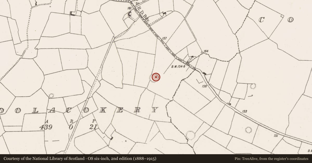 Ordnance Survey six-inch map, 2nd edition (1888–1915) covering the location of Ringfort - rath, Coolacokery, County Limerick, with a pin at the register's coordinates