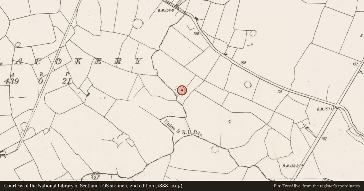 Ordnance Survey six-inch map, 2nd edition (1888–1915) covering the location of Ringfort - rath, Coolanoran, County Limerick, with a pin at the register's coordinates