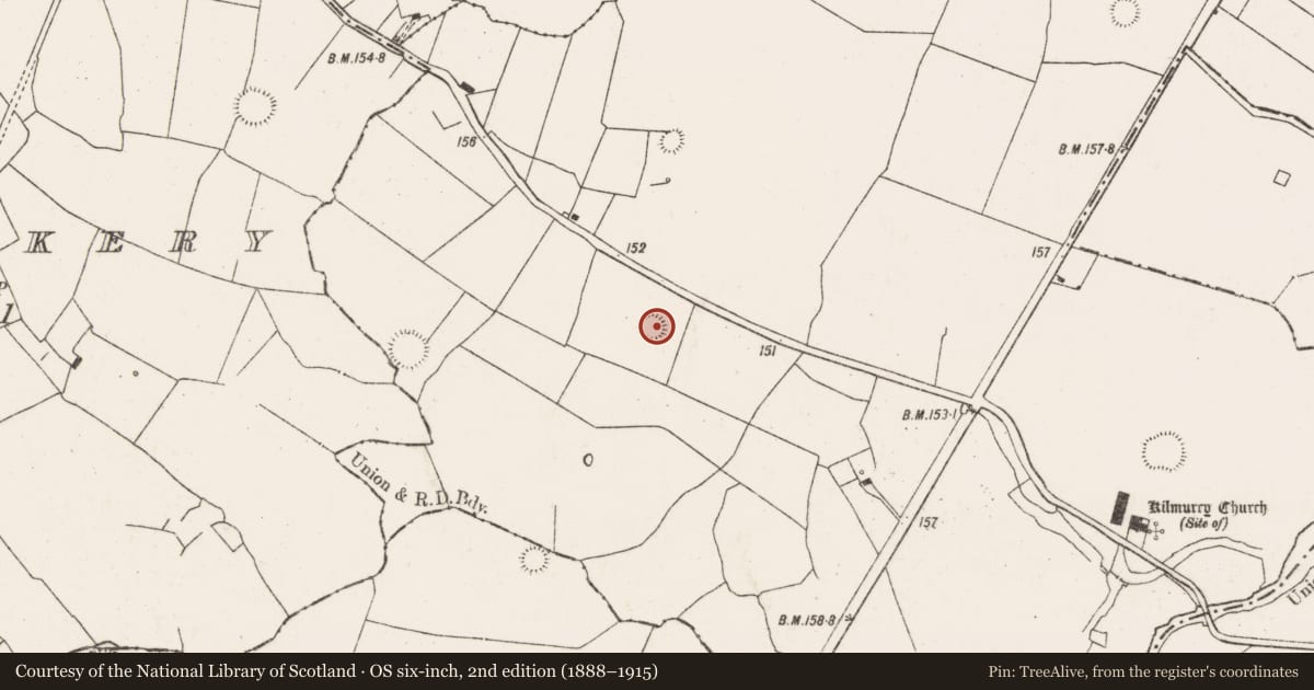 Ordnance Survey six-inch map, 2nd edition (1888–1915) covering the location of Ringfort - rath, Coolanoran, County Limerick, with a pin at the register's coordinates