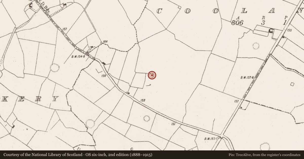 Ordnance Survey six-inch map, 2nd edition (1888–1915) covering the location of Ringfort - rath, Coolanoran, County Limerick, with a pin at the register's coordinates