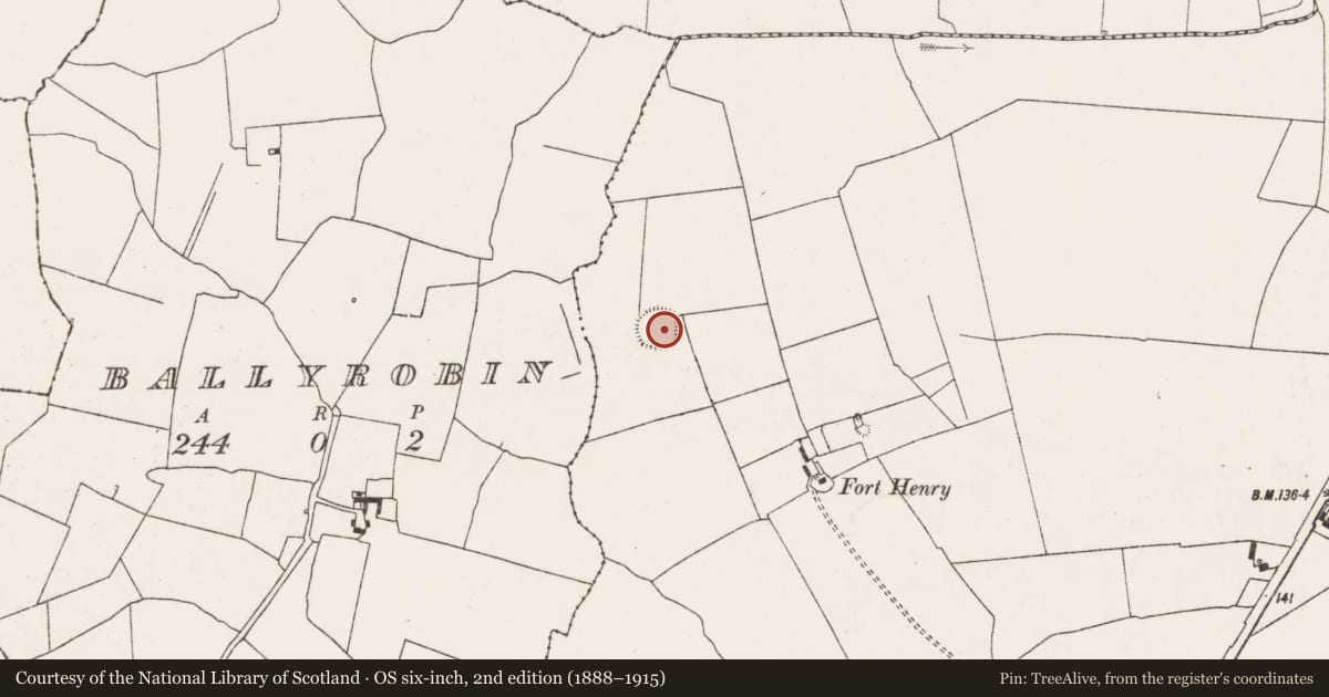 Ordnance Survey six-inch map, 2nd edition (1888–1915) covering the location of Ringfort - rath, Coolanoran, County Limerick, with a pin at the register's coordinates