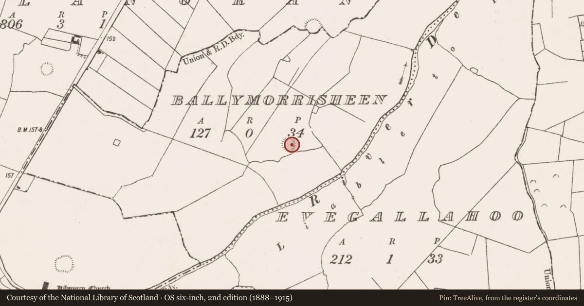 Ordnance Survey six-inch map, 2nd edition (1888–1915) covering the location of Ringfort - rath, Ballymorrisheen, County Limerick, with a pin at the register's coordinates