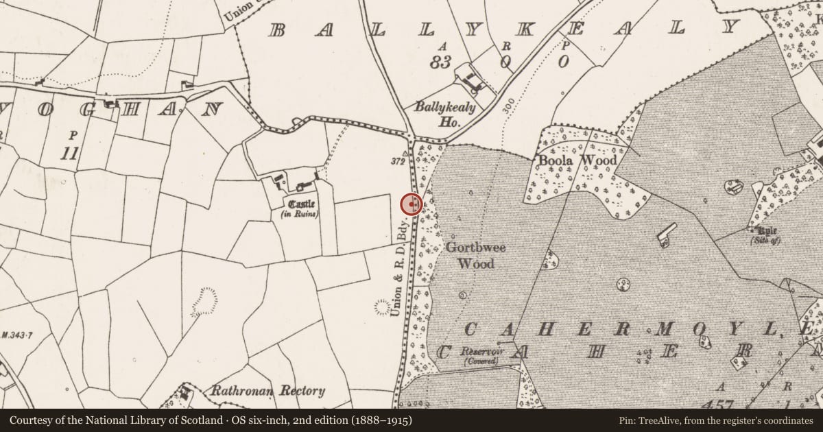 Ordnance Survey six-inch map, 2nd edition (1888–1915) covering the location of Ringfort - rath, Ballyvoghan, County Limerick, with a pin at the register's coordinates