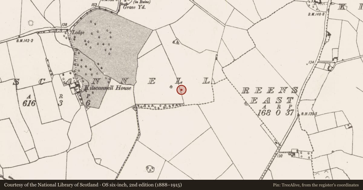 Ordnance Survey six-inch map, 2nd edition (1888–1915) covering the location of Ringfort - rath, Kilscannell, County Limerick, with a pin at the register's coordinates