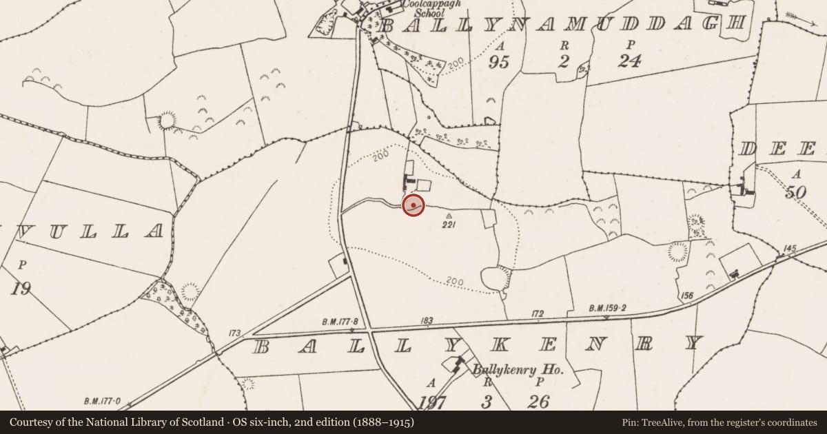 Ordnance Survey six-inch map, 2nd edition (1888–1915) covering the location of Ringfort - rath, Ballykenry, County Limerick, with a pin at the register's coordinates