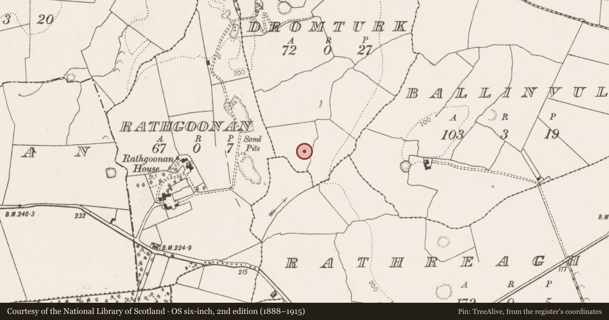 Ordnance Survey six-inch map, 2nd edition (1888–1915) covering the location of Ringfort - rath, Dromturk, County Limerick, with a pin at the register's coordinates